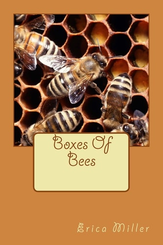 Boxes Of Bees And How I Came to Manage Them