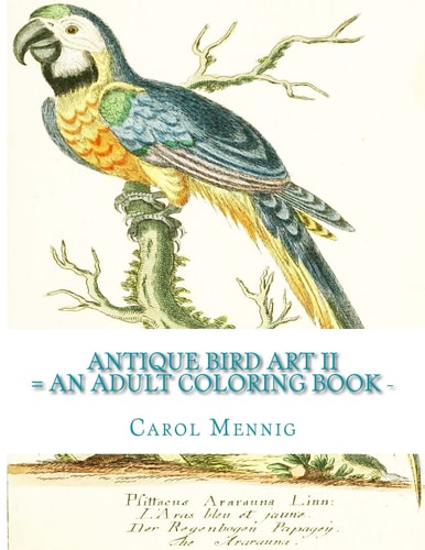 Antique Bird Art II: An Adult Coloring Book
