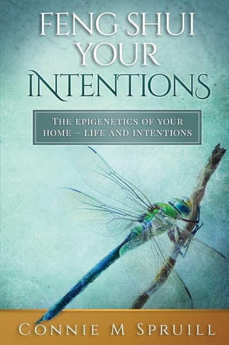 Feng Shui Your Intentions The Epigenetics of Your Home - Life and Intentions