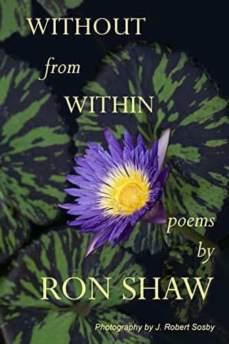 Without From Within Poems by Ron Shaw