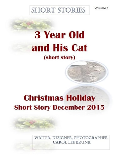 Short Stories 3 Year Old and His Cat and Christmas Holiday Short Story Dec 2015 Short Stories