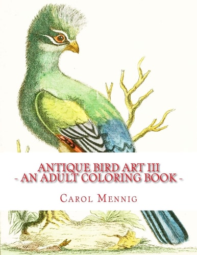 Antique Bird Art III - An Adult Coloring Book