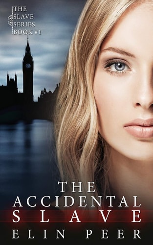 The Accidental Slave (Aya's Story)