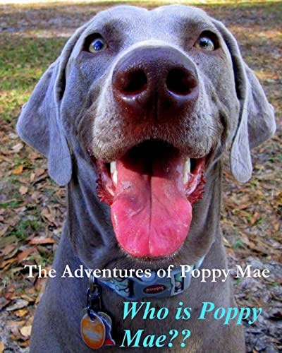 The Adventures of Poppy Mae Who Is Poppy Mae?