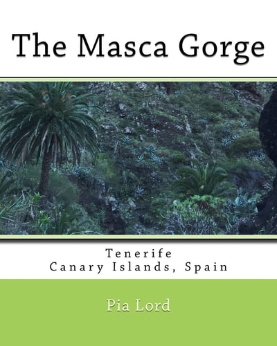 The Masca Gorge Tenerife Canary Islands Spain