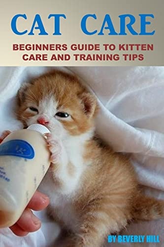 Cat Care Beginners Guide to Kitten Care and Training Tips