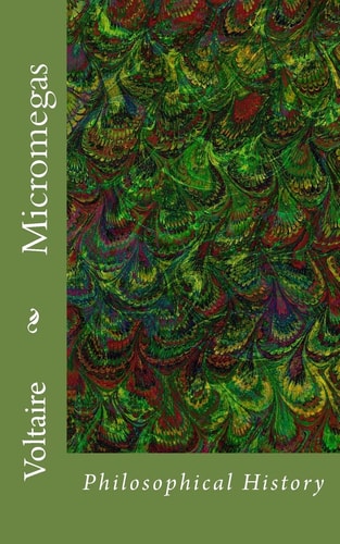 Micromegas Philosophical History