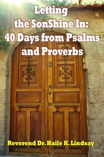 Letting the SonShine In 40 Days from Psalms and Proverbs