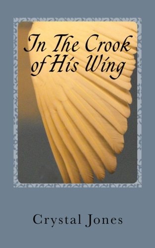 In the Crook of His Wing My Personal Encounters With Angels