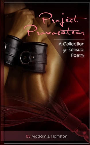 Project Provocateur