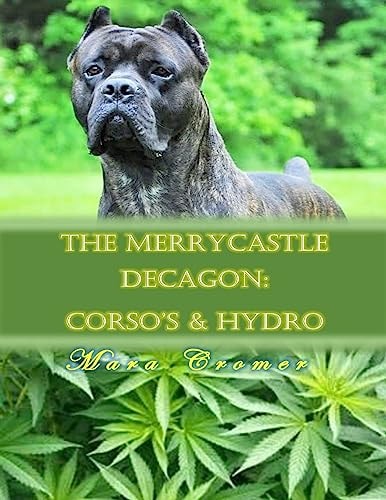 The Merrycastle Decagon: Corsos and Hydro The Merrycastle Decagon