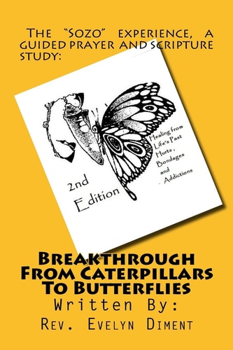 Breakthrough From Caterpillars to Butterflies : Healing from Past Hurts, Bondages and Addictions