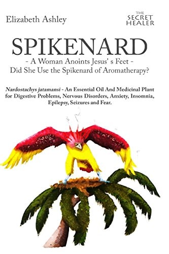 Spikenard -A Woman Anoints Jesus's Feet - Did She Use the Spikenard of Aromatherapy? Nardostachys Jatamansi - An Essential Oil And Medicinal Plant for Digestive Problems, Nervous Disorders, Anxiety, Insomnia, Epilepsy, Seizures and Fear.