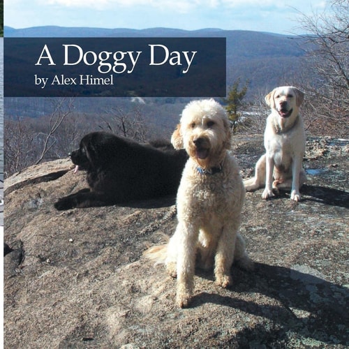 A Doggy Day
