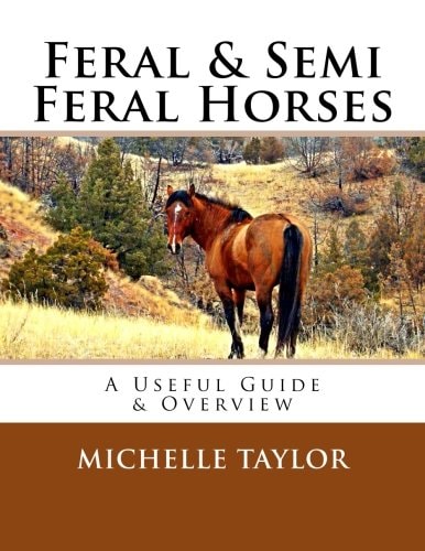 Feral and Semi Feral Horses A Useful Guide and Overview