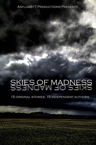 Asylum817 Productions Presents: Skies of Madness A Collection of Short Stories