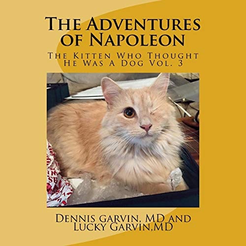 The Adventures of Napoleon The Kitten Who Thought He Was a Dog