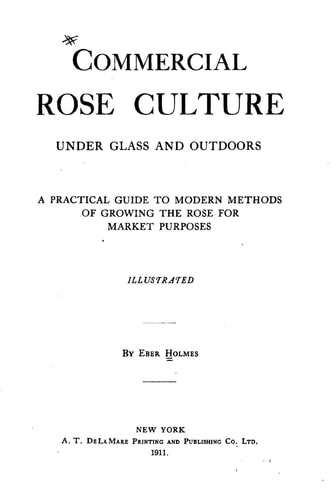 Commercial Rose Culture, Under Glass and Outdoors