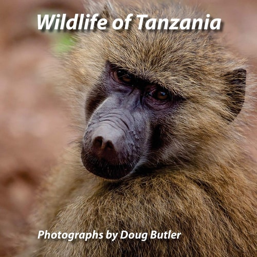 Wildlife of Tanzania An African Photo Safari for All Ages