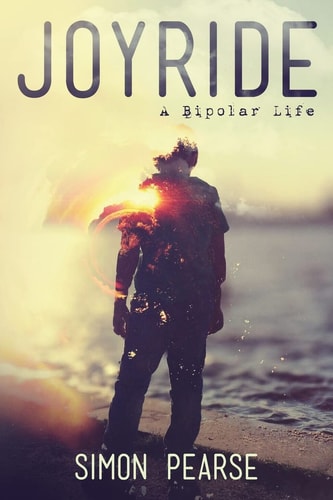 Joyride A Bipolar Life
