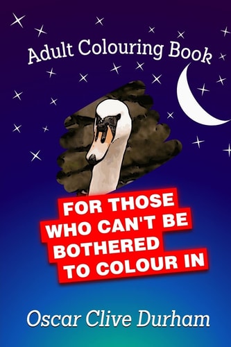 Adult Colouring Book For Those Who Can't Be Bothered To Colour In