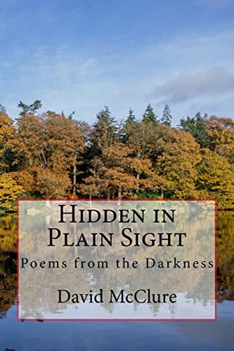 Hidden in Plain Sight Poems from the Darkness
