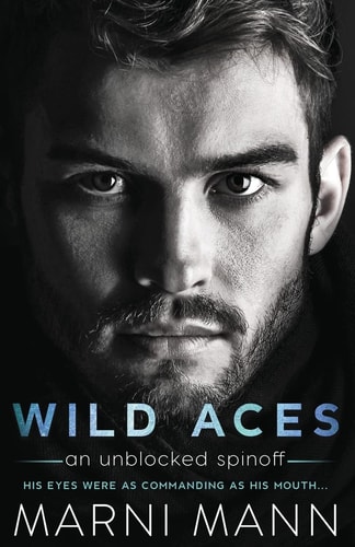 Wild Aces A Sexy Standalone