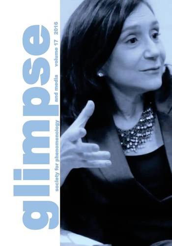 Glimpse Vol. 17, 2016
