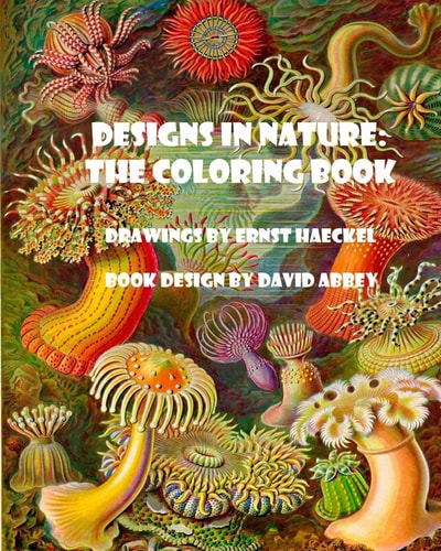 Designs in Nature The Coloring Book