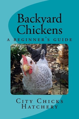 Backyard Chickens A Beginner's Guide