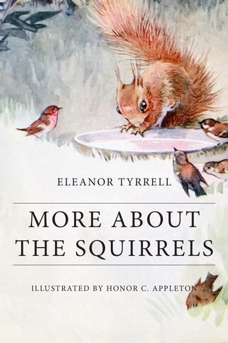 More About the Squirrels Illustrated
