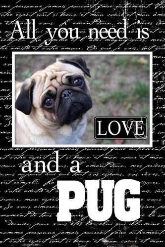 All You Need Is Love and a Pug