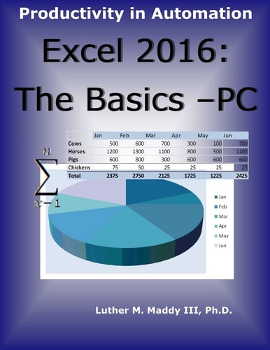 Excel 2016 The Basics - PC