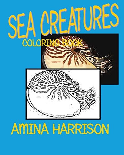 Sea Creatures Coloring Book