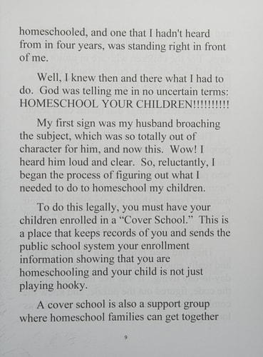 Homeschooling It's Not Just A Lifestyle; It's An Adventure!: Lesson Plans, Book Recommendations, Guidelines For Teaching K-12, Teacher's Helpers, Hobbies, Healthy Eating, Recipes, Gardening, Survival Tips, And Spiritual Guidance