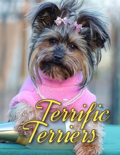 Terrific Terriers