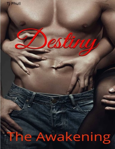 Destiny The Awakening