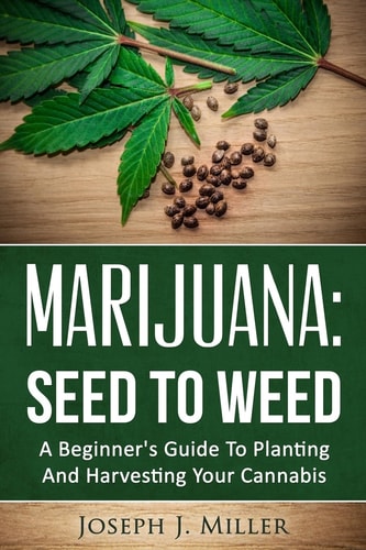 Marijuana Seed To Weed: A Beginner's Guide To Planting And Harvesting Your Cannabis