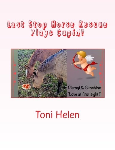 Last Stop Horse Rescue Plays Cupid!