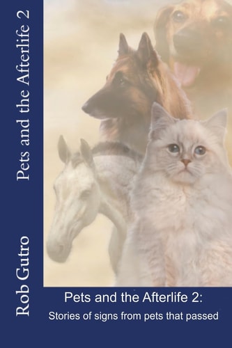 Pets and the Afterlife 2 Signs from Pets That Have Passed