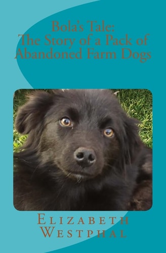 Bola's Tale The Story of a Pack of Abandoned Farm Dogs