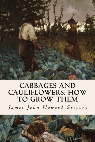 Cabbages and Cauliflowers How to Grow Them
