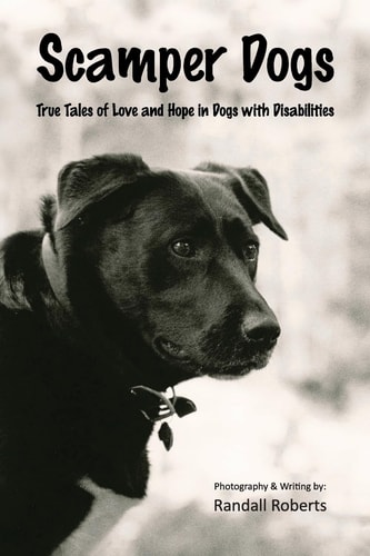 Scamper Dogs True Tales of Love and Hope in Dogs with Disabilities