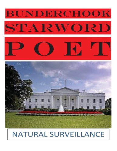 Bunderchook Starword Poet Natural Surveillance