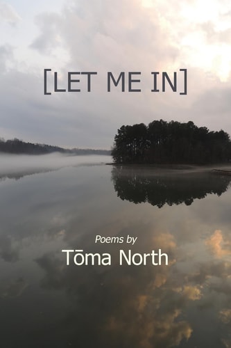 Let Me In