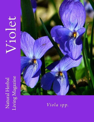 Violet Viola Spp.