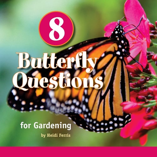 8 Butterfly Questions For Gardening