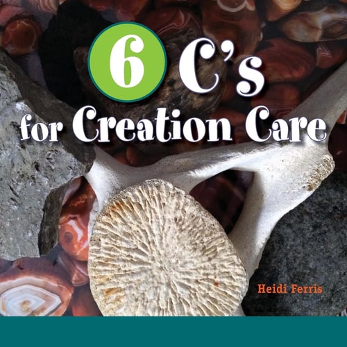 6 C's for Creation Care Creation, Christ, Creativity, Combustion, Climate, Connect