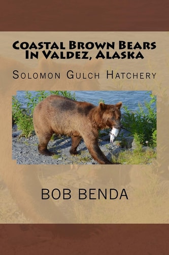Coastal Brown Bears In Valdez, Alaska Solomon Gulch Hatchery
