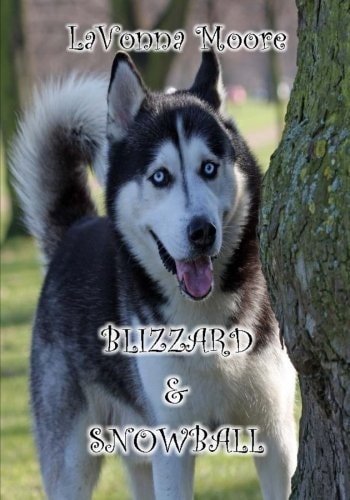 Blizzard and Snowball